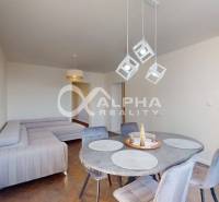 Dining table with four chairs, gray sofa, floor with wood decor.