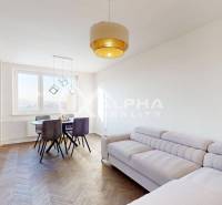 Living room in a 2-room apartment with a sofa and a wooden decor floor.