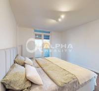 Bedroom with a large bed, window, and wooden decor flooring in a 2-room apartment.