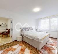 Bedroom in a two-room apartment with a wooden decor floor and a carpet.