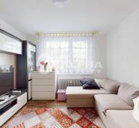 Living room in a 2-room apartment, sofa, furniture, and floor with wooden decor.