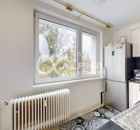 A kitchen in a 2-room apartment with appliances, a window, and a radiator.