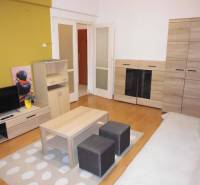 Living room in a studio apartment with flooring and wooden decor, furniture, and a television.