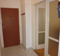 Hallway in a studio apartment with tiles and built-in doors with glazing.
