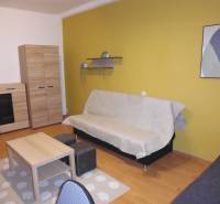 1-bedroom apartment with wood-patterned flooring, yellow wall, furniture, and a painting.