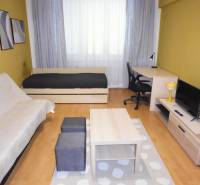 Living room in a one-bedroom apartment with wood-patterned flooring, a sofa, and a television.
