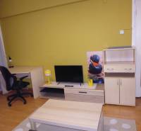 Living area in a studio apartment with wood-patterned flooring, a desk, and a TV stand.