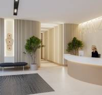 A reception with wooden decor, modern furniture, and plants in a 3-room apartment.