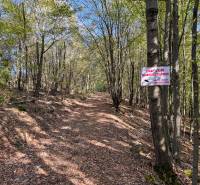 Forest path with a notice in Agricultural and Forest Lands in Lackov.