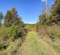 Agricultural and forest lands in Lackov with green trees and blue sky.