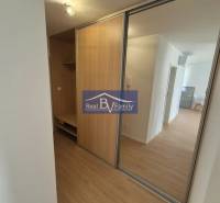 A wardrobe in a 2-room apartment with sliding mirror doors and a wooden decor floor.