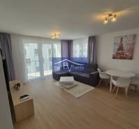 Living room in a two-room apartment with a wooden decor floor and comfortable seating.
