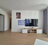 Living room of a two-room apartment with a wooden decor floor and a TV on the wall.