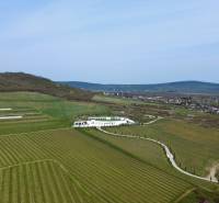 Vineyards in Bare with a modern building amidst picturesque countryside and hills.
