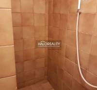 A bathroom in a family house with tiles and a shower.