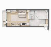 Studio layout with a bed, sofa, kitchen, and bathroom. Floor with wood decor.