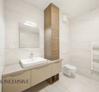 A bathroom in a 2-room apartment with a sink, mirror, and built-in toilet.