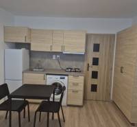 Kitchen unit in a studio apartment with a dining table and a floor with a wooden decor.