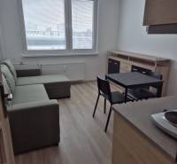 Studio apartment with wood-patterned flooring, bright interior, comfortable sofa, dining table.
