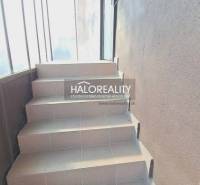 A staircase with a wall of windows in offices.