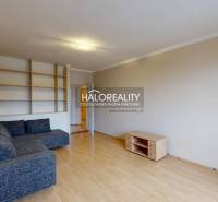 Living room with a sofa and built-in shelves in a 2-room apartment.