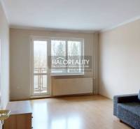 Living room in a two-room apartment with a wooden decor floor and a balcony.
