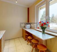 A kitchen in a 2-room apartment with tall windows and flowers in a vase on the table.