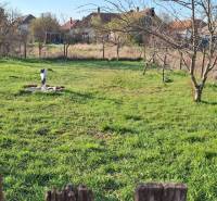 A garden at a family house in Holiare, surrounded by trees and a lawn.