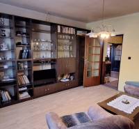 Living room in a family house with a wooden decor floor and an extensive wardrobe.