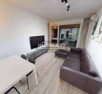 Living room in a two-room apartment with a sofa, television, and a wooden decor floor.