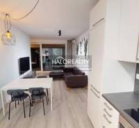 A kitchen in a 2-room apartment with white cabinets, a sofa, and plant decorations on the wall.