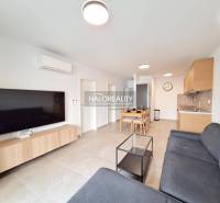 Living room in a 2-room apartment with a TV, sofa, and kitchenette.