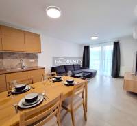 Living room in a 2-room apartment with a kitchenette, dining table, and sofa.