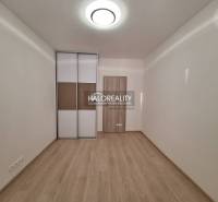 A room with a wooden decor floor and a built-in wardrobe in a 3-room apartment.