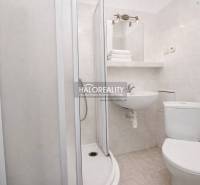 Bathroom with shower and toilet in a studio apartment.