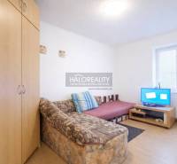 Studio apartment with a sofa, television, and wardrobe, floor with wood decor.