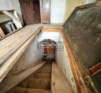 Interior with stone stairs leading to the basement, antique furniture, gardens.