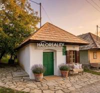 Traditional houses in the gardens of Mýtne Ludany surrounded by greenery at sunset.