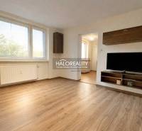Living room with TV, wooden decor flooring, 4-room apartment with large windows.