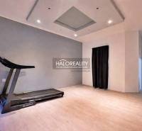 Fitness room in a 4-room apartment with a wooden decor floor, treadmill.