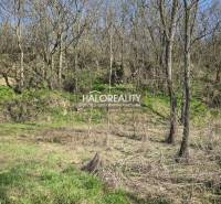 Recreational plots in Zalaba: Sparse forest with grass, ideal for rest and relaxation.