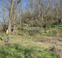 Recreational land in Zalaba with forest cover and grassy area.
