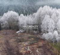 Snow-covered trees and cleared areas, recreational lands in Liptovský Ján.