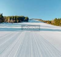 A snowy slope with a forest, ideal for winter activities in Vyšná Boca.