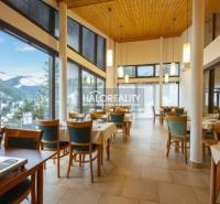 Restaurant in a hotel with a view of snow-covered mountains and set dining.