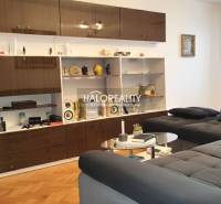 Living room in a 3-room apartment with a sofa, shelves, and a floor with a wooden decor.