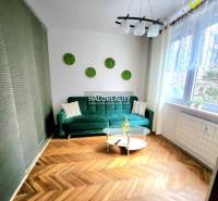 A living room with wood-patterned flooring, a green sofa, and a round table in a studio apartment.