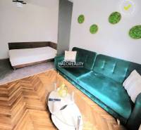 Living area with a sofa and a bed, wooden decor flooring, studio apartment.