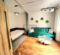 Living room with a sofa, bed, and wood-patterned flooring in a studio apartment.
