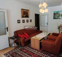 Living room of a 3-room apartment with a wooden decor floor, carpet, and sofa.